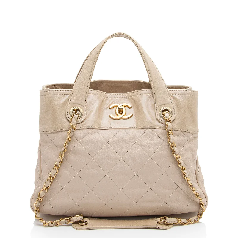 Luxury CHANEL bags for women -Chanel Glazed Calfskin In the Mix Small Tote (SHF-IzIEIo)